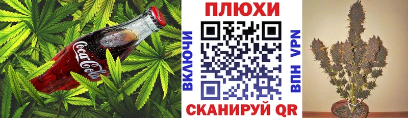 Cannafood конопля  OMG ONION  Чердынь 