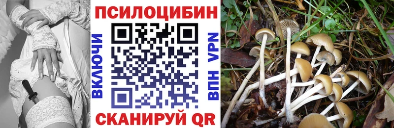 Галлюциногенные грибы мицелий  где купить наркоту  Чердынь 